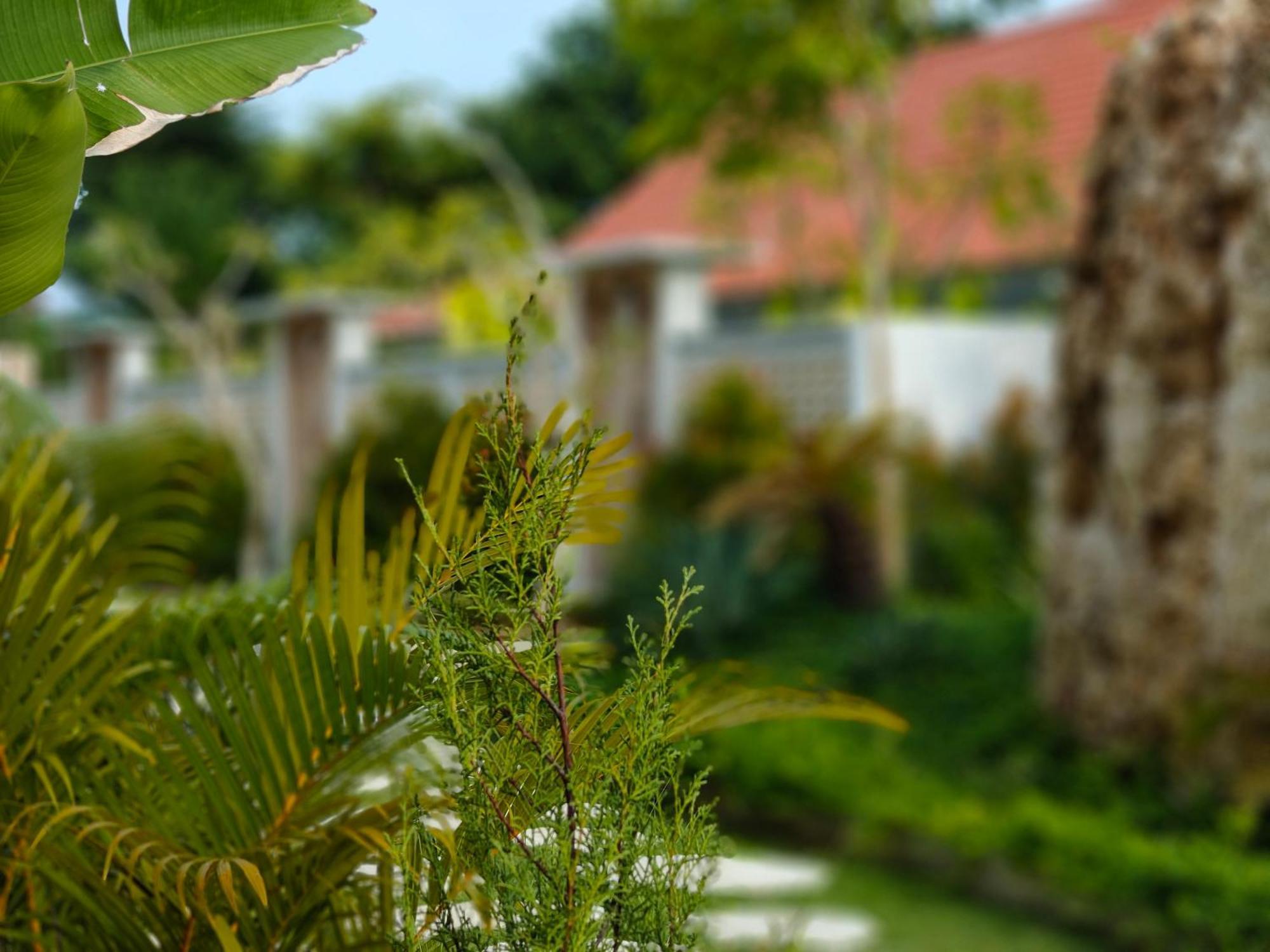 Alam Cottage Uluwatu מראה חיצוני תמונה