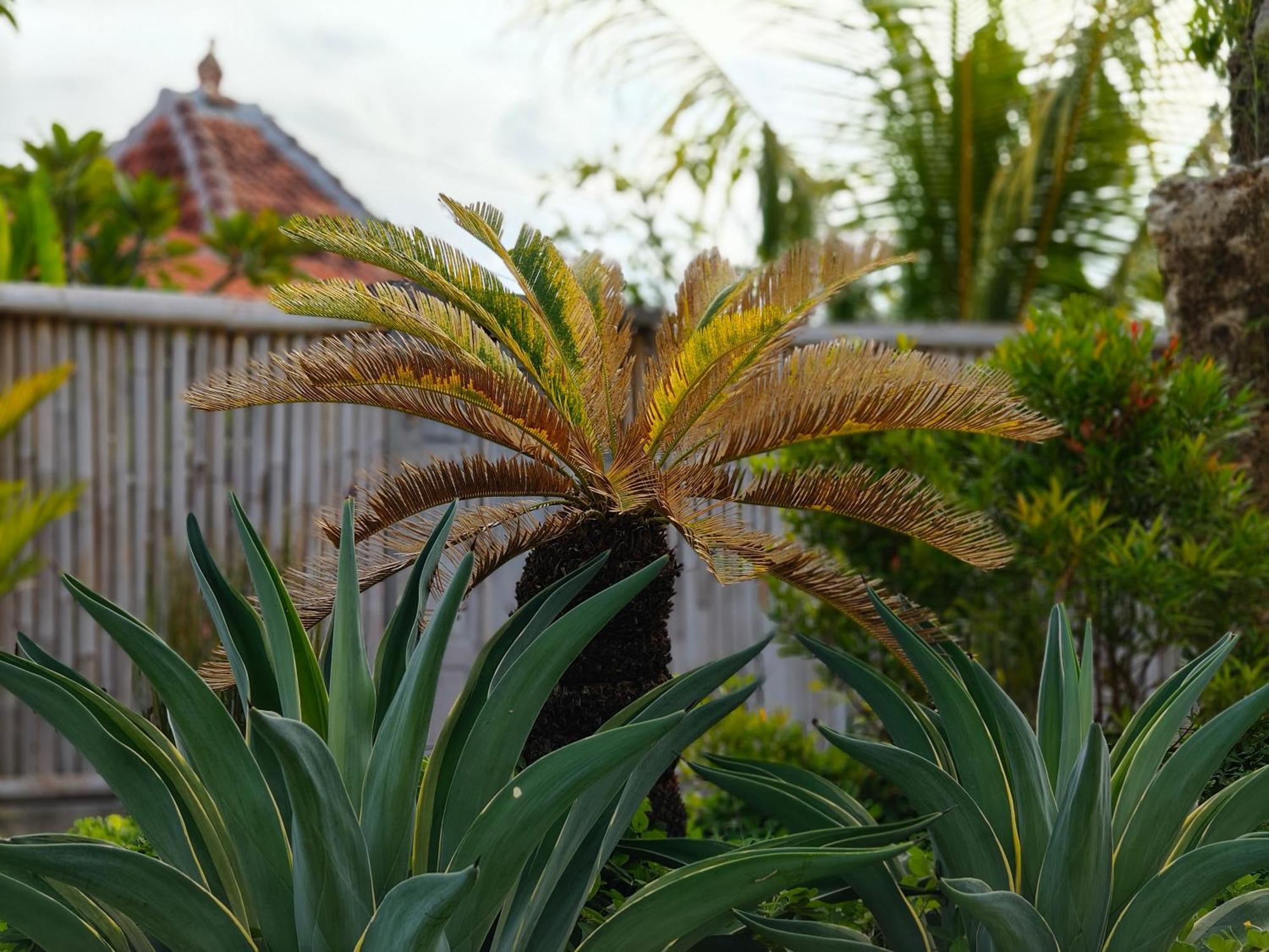 Alam Cottage Uluwatu מראה חיצוני תמונה